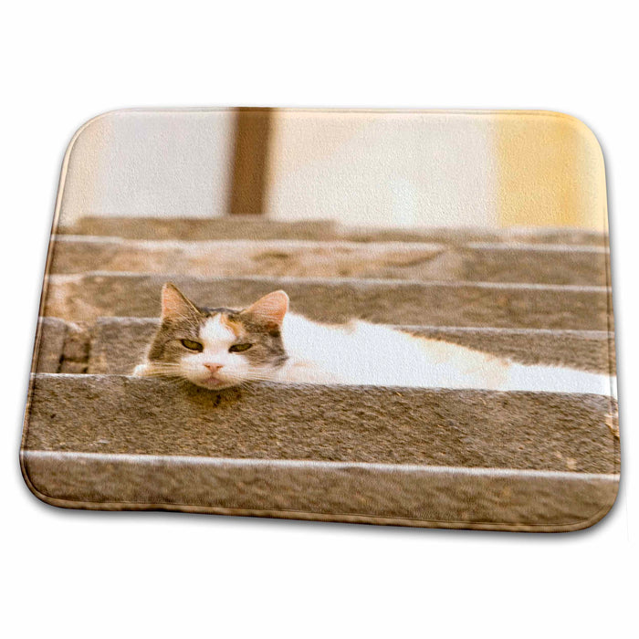 Dish Drying Mat - Cat on steps, Villefranche, South of France - EU09 MWT0032 - Michele Westmorland Cats