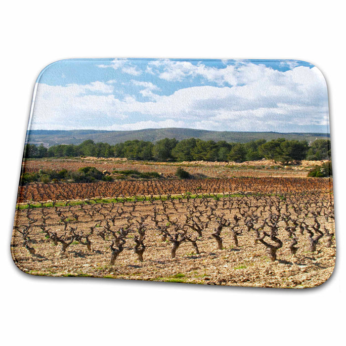 Dish Drying Mat - Vineyard, Ste Baume, Grenache, Cote dAzur, France - EU09 PKA0505 - Per Karlsson Vineyards