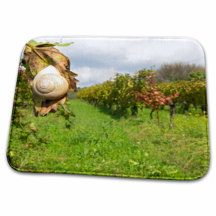 Dish Drying Mat - Vineyard, Domaine Borie la Vitarele, France - EU09 PKA1813 - Per Karlsson Vineyards