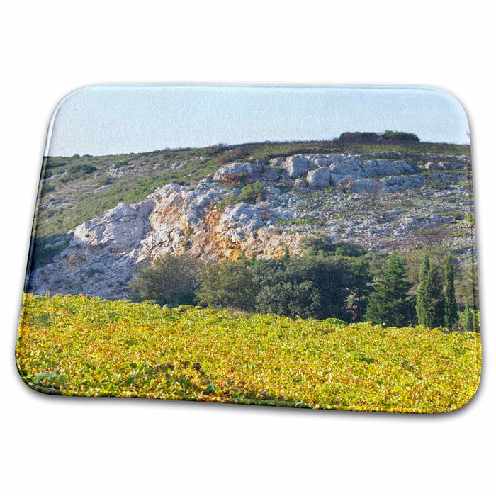 Dish Drying Mat - Vineyard, Chateau Mire lEtang, Languedoc, France - EU09 PKA1818 - Per Karlsson Vineyards