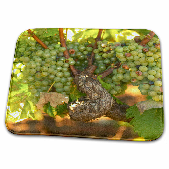 Dish Drying Mat - Grapes, vineyard, Chateau Haut Bergeron, France - EU09 PKA1990 - Per Karlsson Vineyards