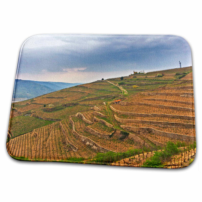 Dish Drying Mat - Les Bessards vineyard, Tain-la­Hermitage, France - EU09 PKA2217 - Per Karlsson Vineyards