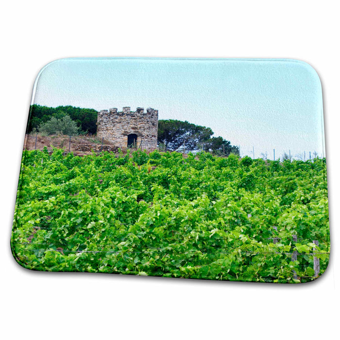 Dish Drying Mat - Domaine la Tour Vieille, Vineyard, France - EU09 PKA2626 - Per Karlsson Vineyards