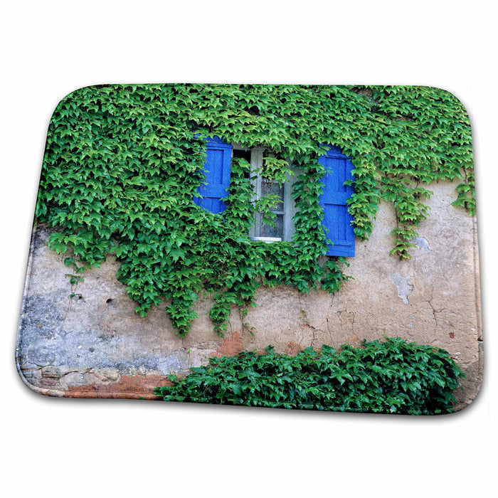 Dish Drying Mat - France, Provence, Lourmarin, ivy on homes - EU09 RER0024 - Ric Ergenbright Homes