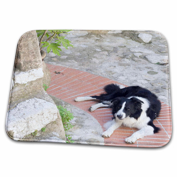 Dish Drying Mat - Eze-Village, Cote dAzur, France - EU09 SPI0192 - Sergio Pitamitz French Riviera