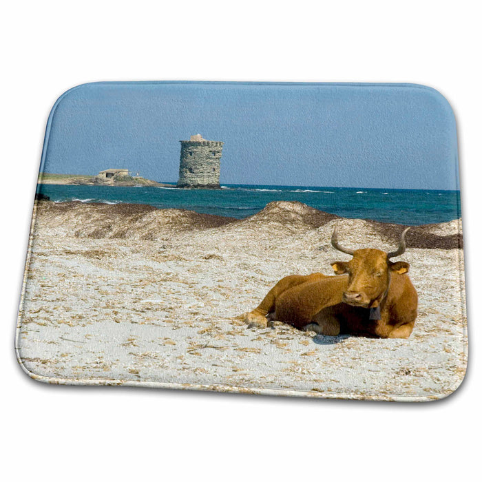 Dish Drying Mat - France, Corsica, Cap Corse, Wildlife, Cows, Beach - EU09 TDR0036 - Trish Drury Wildlife