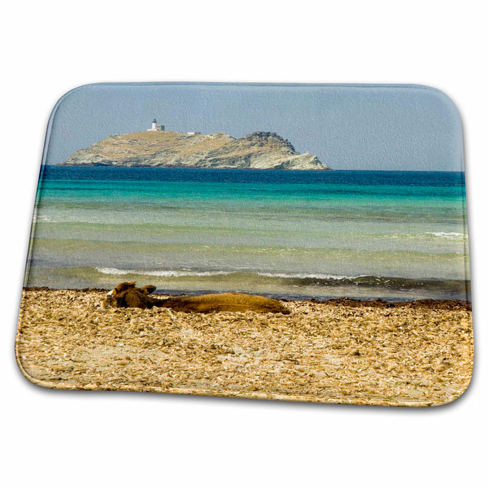 Dish Drying Mat - France, Corsica, Barcaggio, Cap Corse, Wildlife, Cows - EU09 TDR0083 - Trish Drury Wildlife