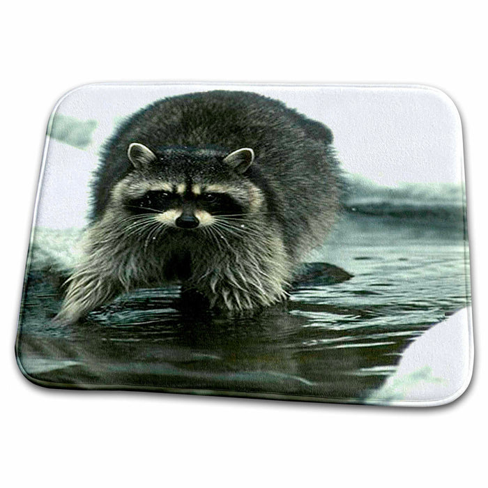 Dish Drying Mat - Raccoon, Raccoons Wild animals