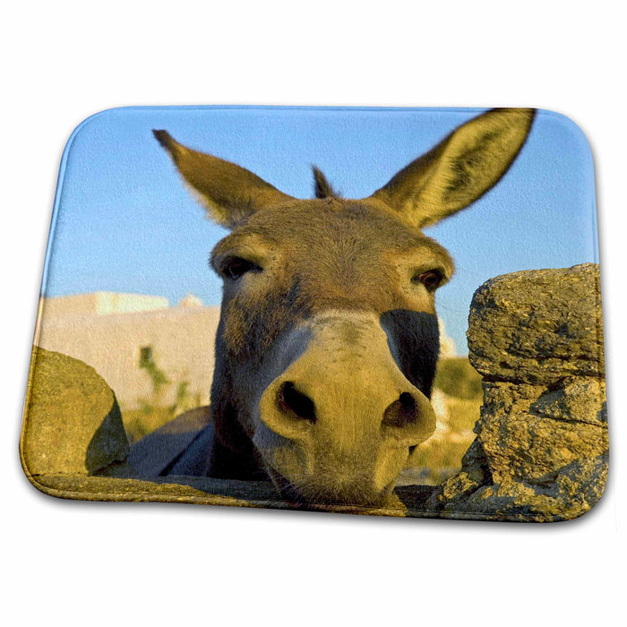 Dish Drying Mat - Greece, Mykonos, Hora, donkey and stone fence - EU12 DGU0093 - Darrell Gulin Donkeys