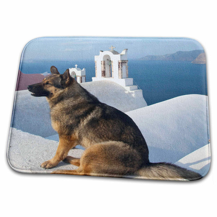 Dish Drying Mat - Greece, Santorini, Oia, dog, blue domed churches - EU12 DGU0356 - Darrell Gulin Greek Islands