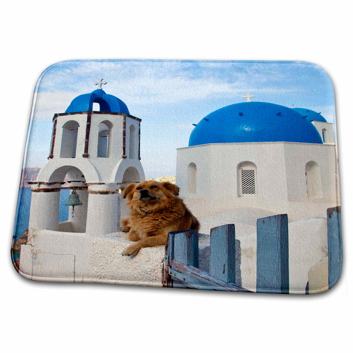 Dish Drying Mat - Greece, Santorini, Oia, dog, blue domed churches - EU12 DGU0358 - Darrell Gulin Greek Islands