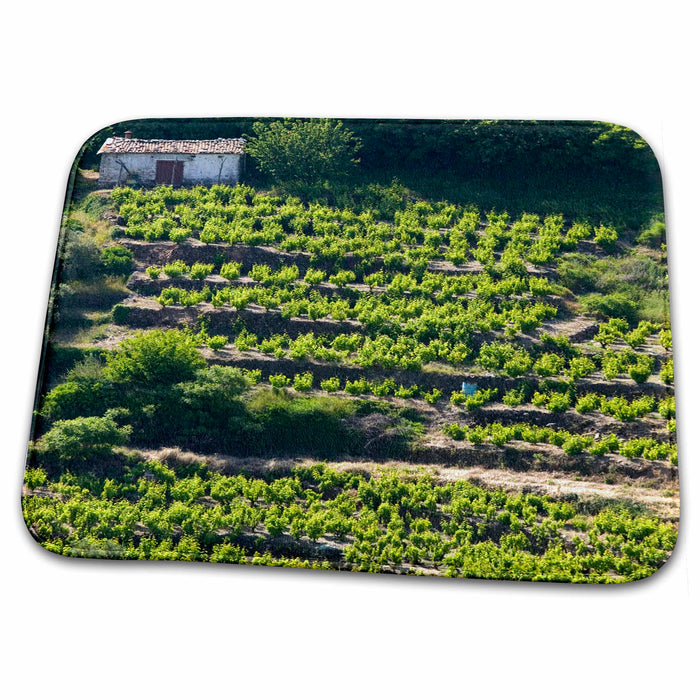 Dish Drying Mat - GREECE, Aegean Islands, SAMOS, Vourliotes Vineyard - EU12 WBI0994 - Walter Bibikow Vineyards