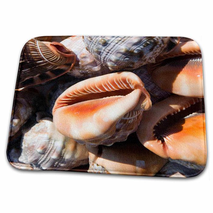 Dish Drying Mat - GREECE, Dodecanese, RHODES, seashells - EU12 WBI1246 - Walter Bibikow Greece