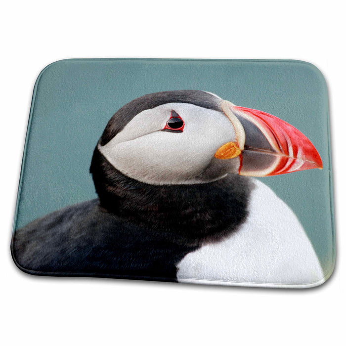 Dish Drying Mat - Iceland, Ingolfshofdi, Atlantic puffin - EU14 BJA0001 - Jaynes Gallery Puffins