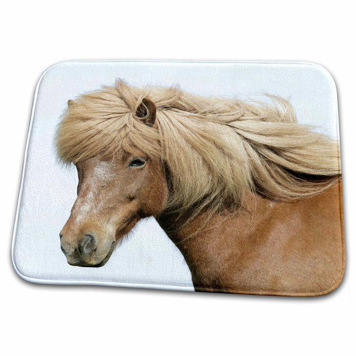 Dish Drying Mat - Iceland, Icelandic horse - EU14 BJA0007 - Jaynes Gallery Horses