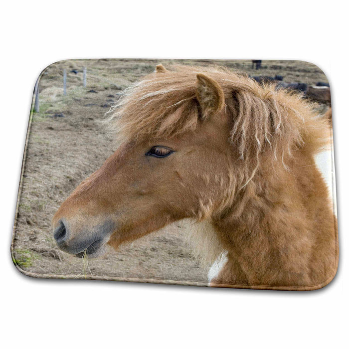 Dish Drying Mat - Icelandic horses, Skagafjorour Fjord, Iceland - EU14 SPI0050 - Sergio Pitamitz Horses