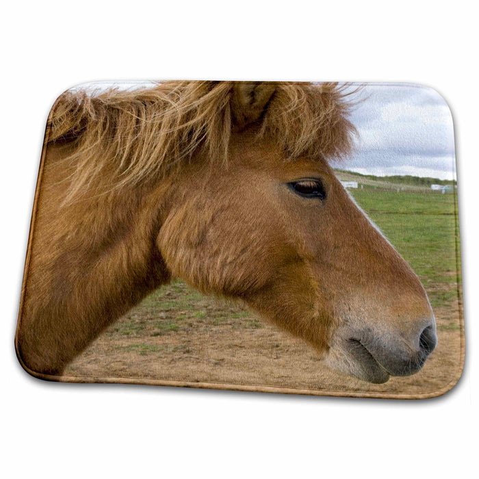 Dish Drying Mat - Icelandic horses, Geysir, Iceland - EU14 SPI0176 - Sergio Pitamitz Horses