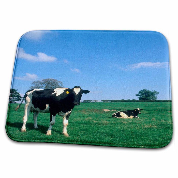 Dish Drying Mat - Irish farmland with cows near Dublin Ireland - EU15 BBA0027 - Bill Bachmann Cows