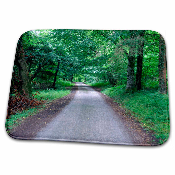 Dish Drying Mat - Ireland, Killarney National Park forest path - EU15 CMI0139 - Cindy Miller Hopkins Paths