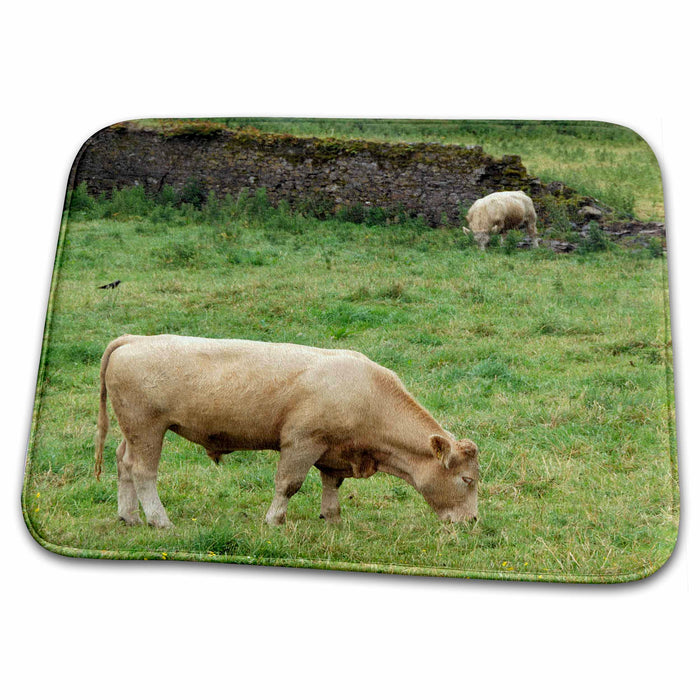 Dish Drying Mat - Ireland, Golden Vale countryside cows - EU15 CMI0152 - Cindy Miller Hopkins Cows