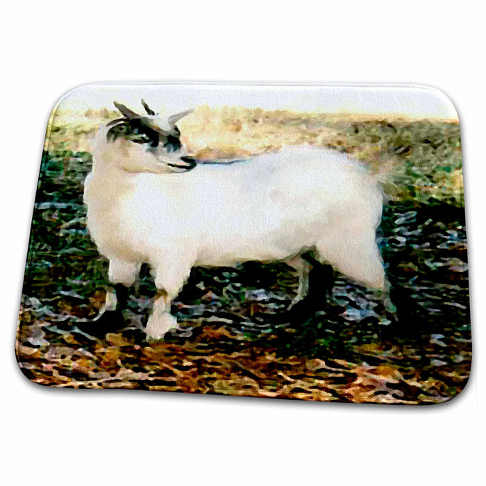 Dish Drying Mat - Pygmy Goat Farm Animals