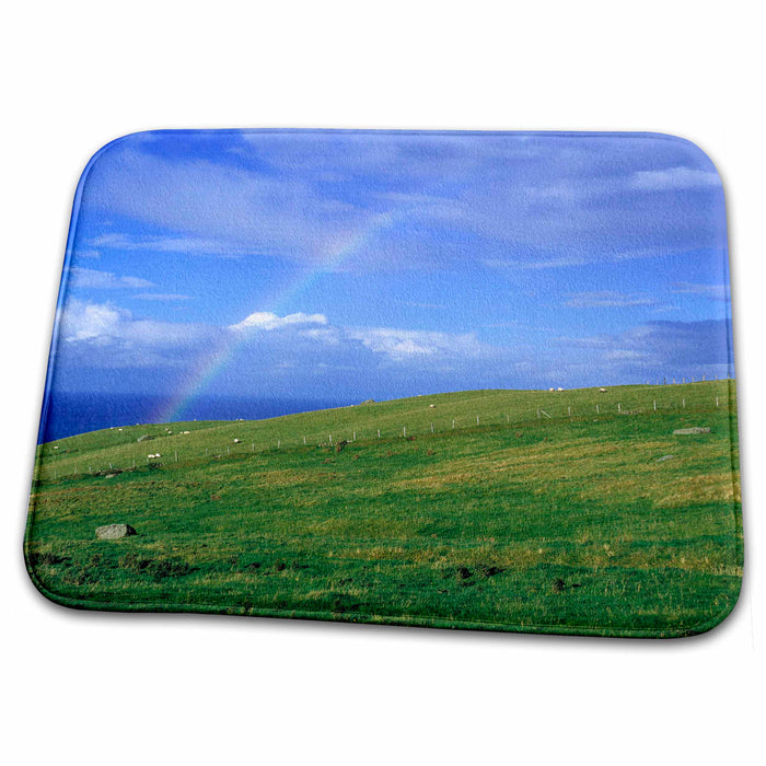 Dish Drying Mat - No. Ireland, Antrim, Ballintoy, Rainbow, sheep - EU15 RER0000 - Ric Ergenbright Farms