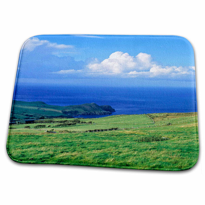 Dish Drying Mat - No. Ireland, Antrim, Torr Head, Farms - EU15 RER0017 - Ric Ergenbright Farms