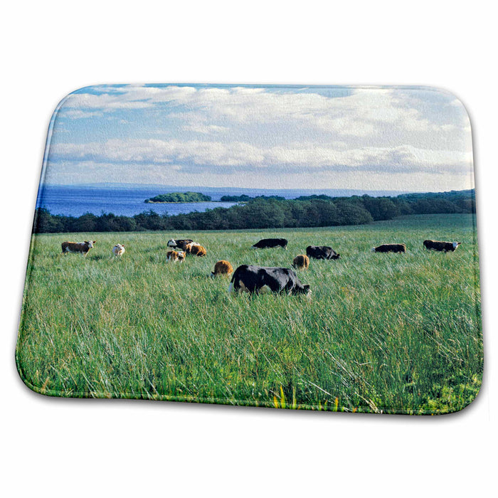 Dish Drying Mat - No. Ireland, Fermanagh, Lough Erne, Farm animals - EU15 RER0021 - Ric Ergenbright Farm Animals