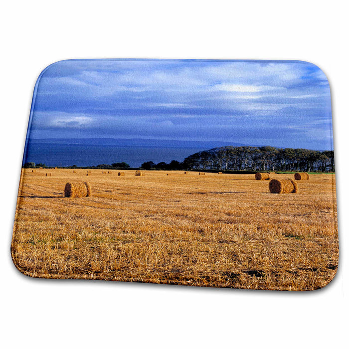 Dish Drying Mat - No. Ireland, Londonderry, Farm hay rolls - EU15 RER0028 - Ric Ergenbright Farms