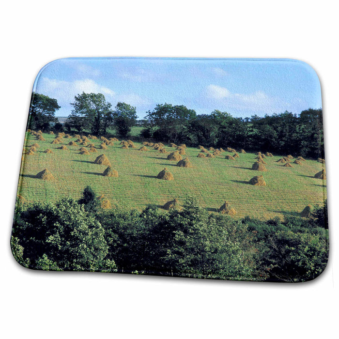 Dish Drying Mat - Ireland, Letterkenny. Farm hay stacks, Co. Dongal - EU15 RER0033 - Ric Ergenbright Farms