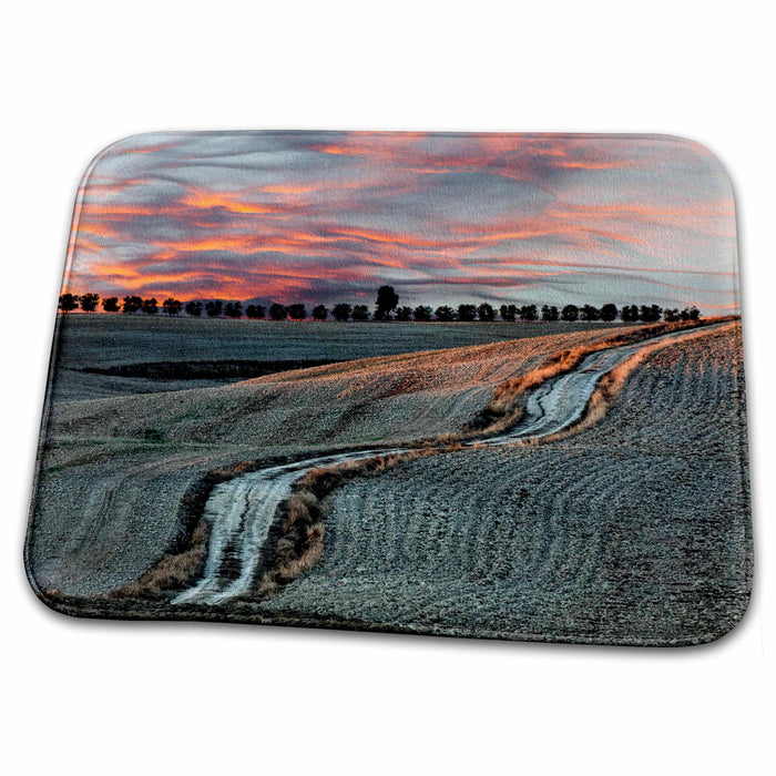 Dish Drying Mat - Sunset, road, San Quirico dOrcia, Tuscany, Italy - EU16 AJE0122 - Adam Jones Tuscany