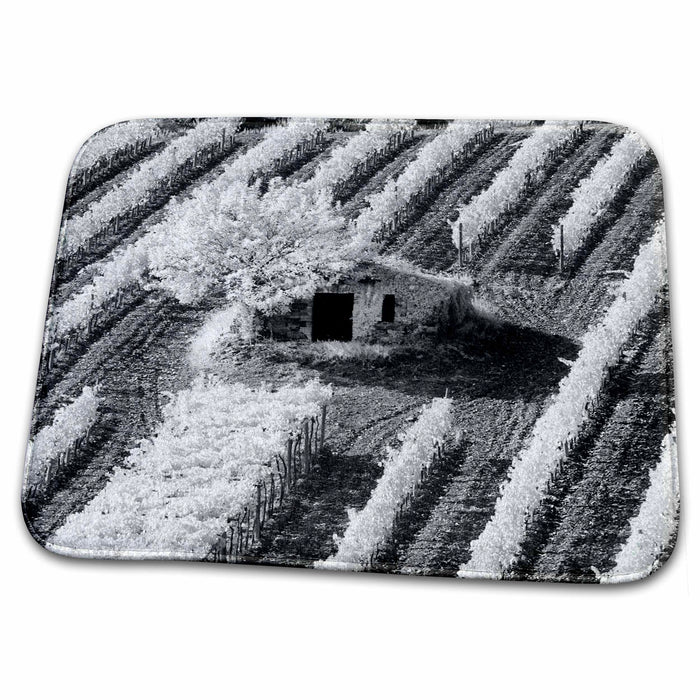 Dish Drying Mat - Stone barn and vineyard, Montalcino, Italy, Tuscany - EU16 AJE0162 - Adam Jones Tuscany