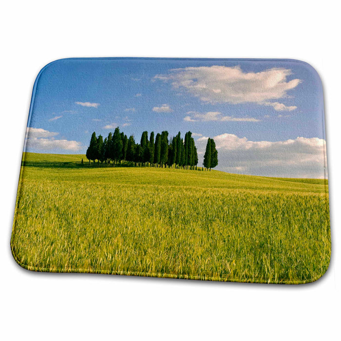 Dish Drying Mat - Italy, Tuscany. Cypress trees in field - EU16 BTH0117 - Brenda Tharp Tuscany