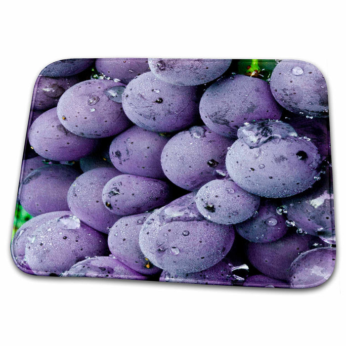 Dish Drying Mat - Italy, Tuscany, Greve. Chianti grapes vineyard - EU16 RDU0136 - Richard Duval Vineyards