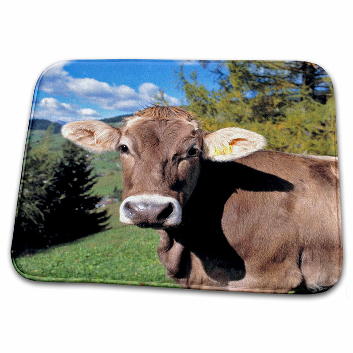 Dish Drying Mat - Italy, Dolomite Alps, Swiss Brown cow - EU16 RER0140 - Ric Ergenbright Cows