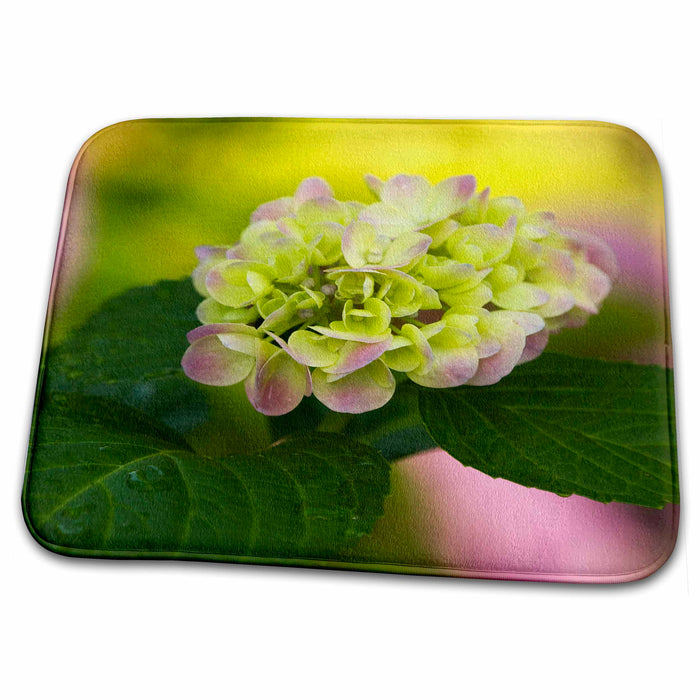 Dish Drying Mat - Georgia, hydrangea flower in Savannah garden - US11 JWL0176 - Joanne Wells Flowers