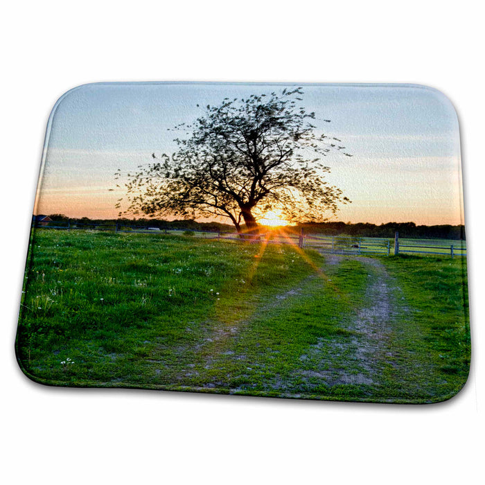 Dish Drying Mat - Farm in Ipswich, Massachusetts - US22 JMO0433 - Jerry and Marcy Monkman Farms