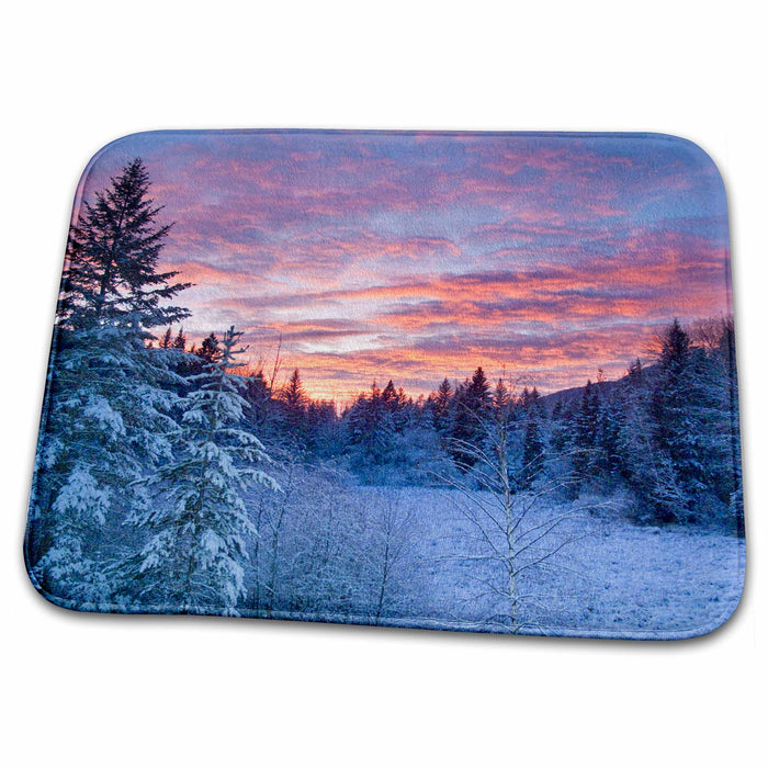 Dish Drying Mat - Winter, meadow, Flathead National Forest of Montana - US27 CHA1938 - Chuck Haney Winter