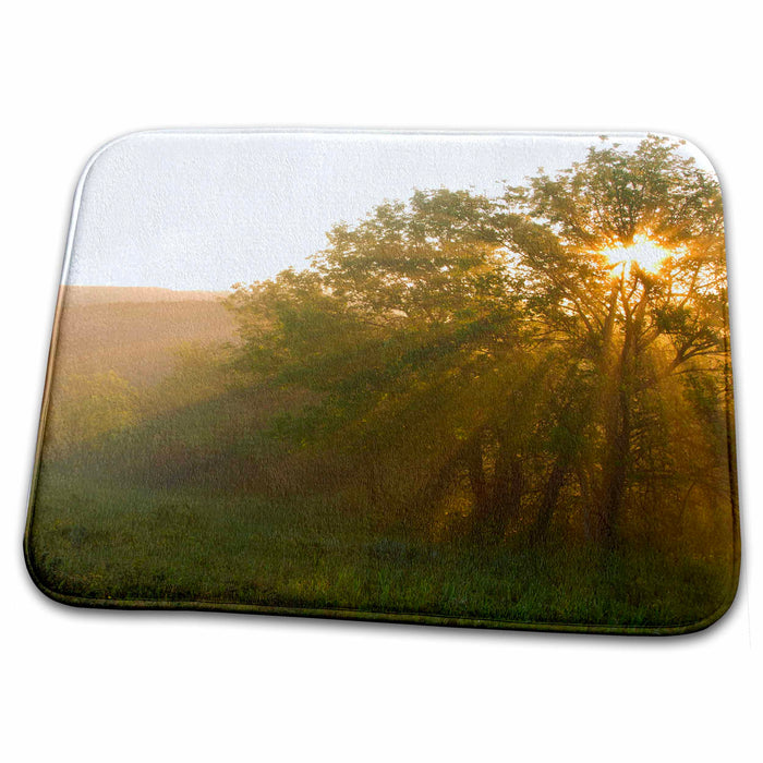 Dish Drying Mat - Sunbeam, Buck Hill, Theodore Roosevelt NP, ND - US35 CHA0234 - Chuck Haney Sunbeams