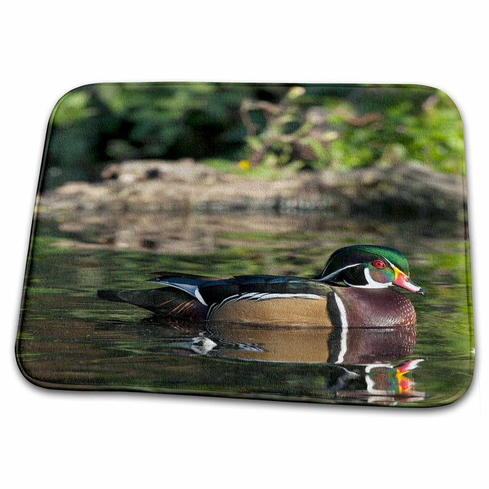 Dish Drying Mat - OR, Crystal Springs Rhododendron Gardens Wood Duck - US38 RBR0200 - Rick A. Brown Ducks