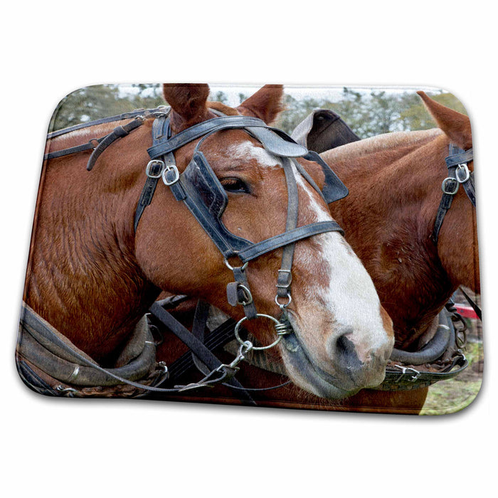 Dish Drying Mat - Oregon, Champoeg SP, Plowing horse - US38 RBR0252 - Rick A. Brown Horses