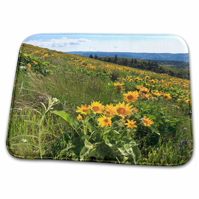 Dish Drying Mat - Oregon, Columbia Gorge, Narrowleaf Mule Ears - US38 RBR0276 - Rick A. Brown Oregon