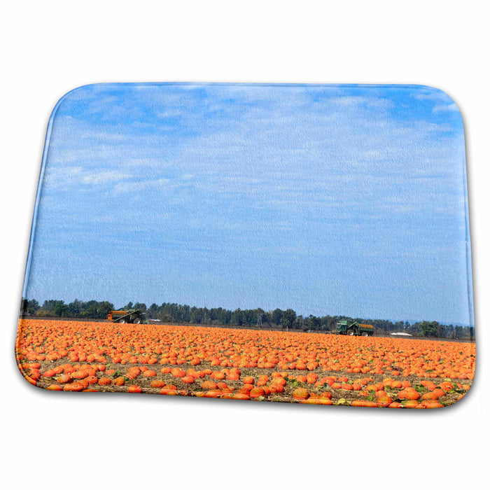 Dish Drying Mat - USA, Oregon, Keizer, Pumpkins, Autumn - US38 RBR0336 - Rick A. Brown Autumn