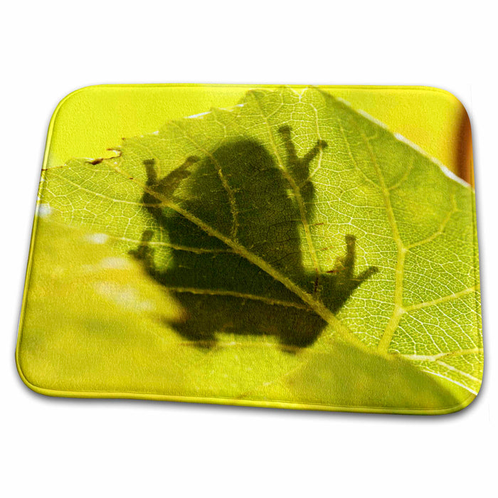 Dish Drying Mat - Oregon, Keizer, Pacific Tree Frog on Pinot Gris - US38 RBR0360 - Rick A. Brown Frogs