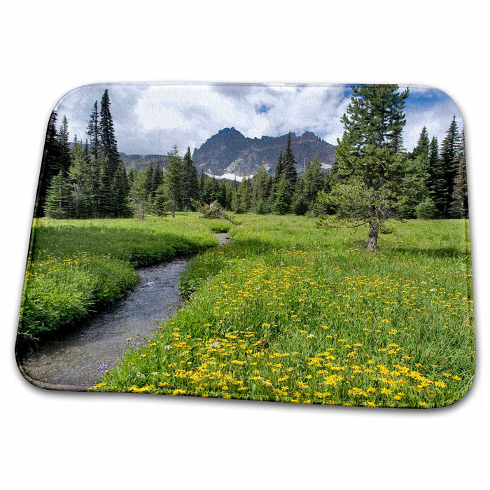 Dish Drying Mat - Oregon, Three Fingered Jack. Arnica, Canyon Creek - US38 RER0097 - Ric Ergenbright Oregon