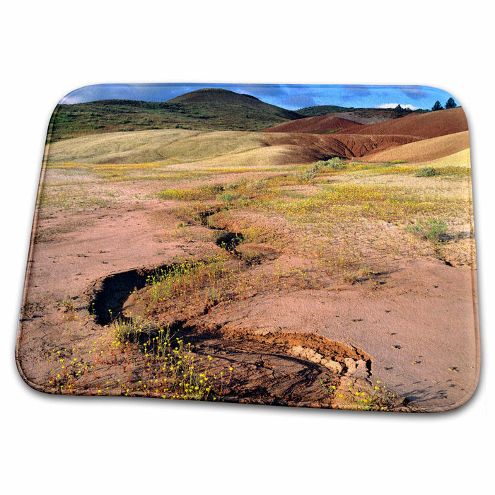 Dish Drying Mat - Oregon, John Day Fossil Beds NM, Painted Hills - US38 RER0155 - Ric Ergenbright Oregon