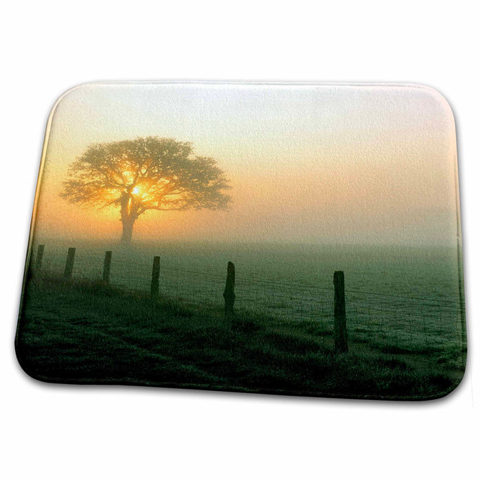 Dish Drying Mat - Oregon, Corvallis, Rural scene and fog - US38 RER0322 - Ric Ergenbright Oregon