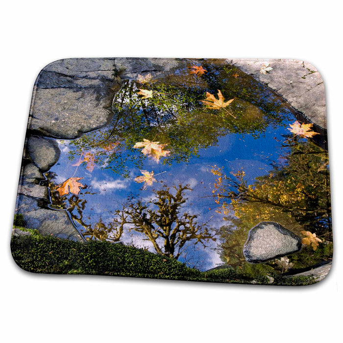 Dish Drying Mat - Oregon, Sweet Creek. Sky and trees reflect - US38 RER0331 - Ric Ergenbright Oregon