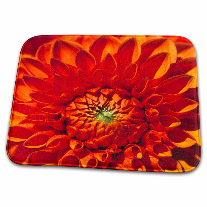 Dish Drying Mat - Oregon, Bend. Dahlia flower - US38 RER0336 - Ric Ergenbright Flowers