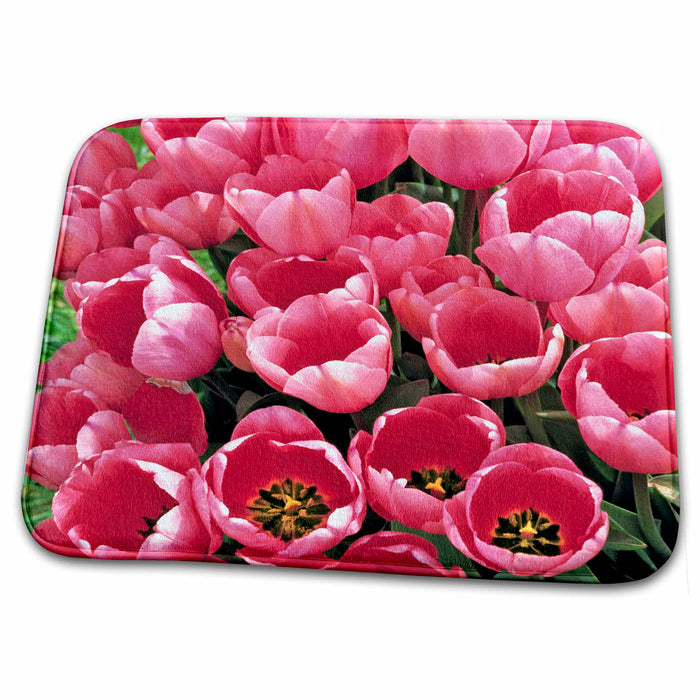 Dish Drying Mat - Oregon, Willamette Valley. Tulip flowers - US38 RER0344 - Ric Ergenbright Flowers